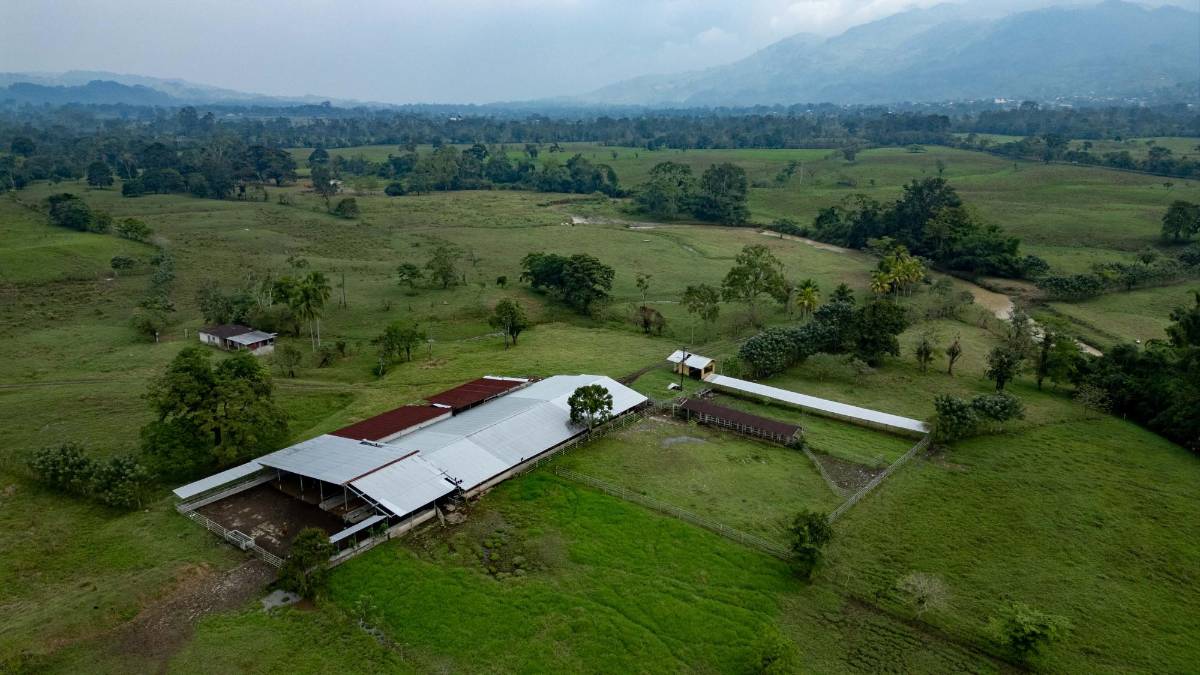 A pedazos se caen las casas y establos de Alexander Ardón