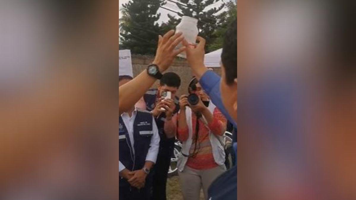 Honduras libera miles de zancudos con Wolbachia; esta es la razón