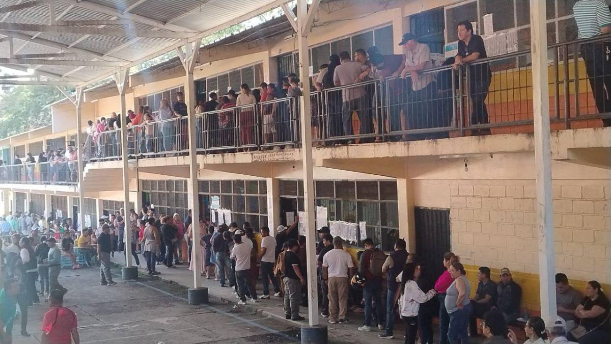 Los jóvenes comienzan a votar y marcan presencia en las urnas