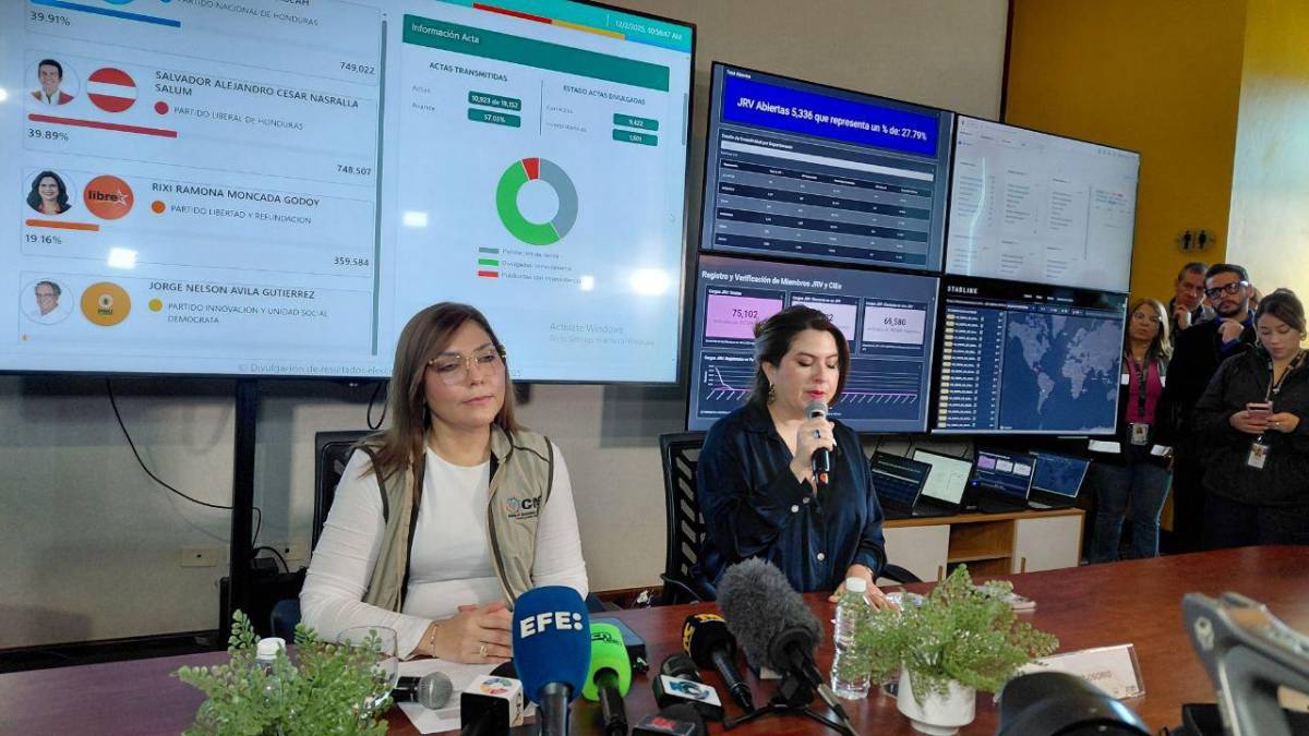 Las ocho frases más relevantes del CNE tras paralización de resultados