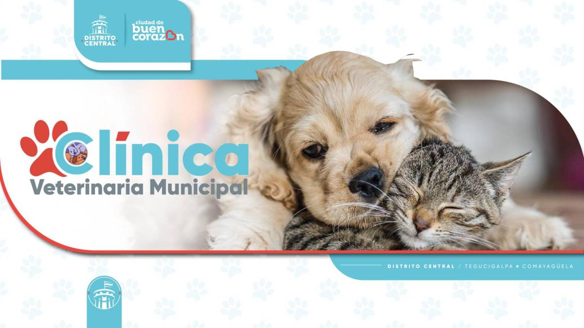 Construirán primera clínica veterinaria municipal en Tegucigalpa