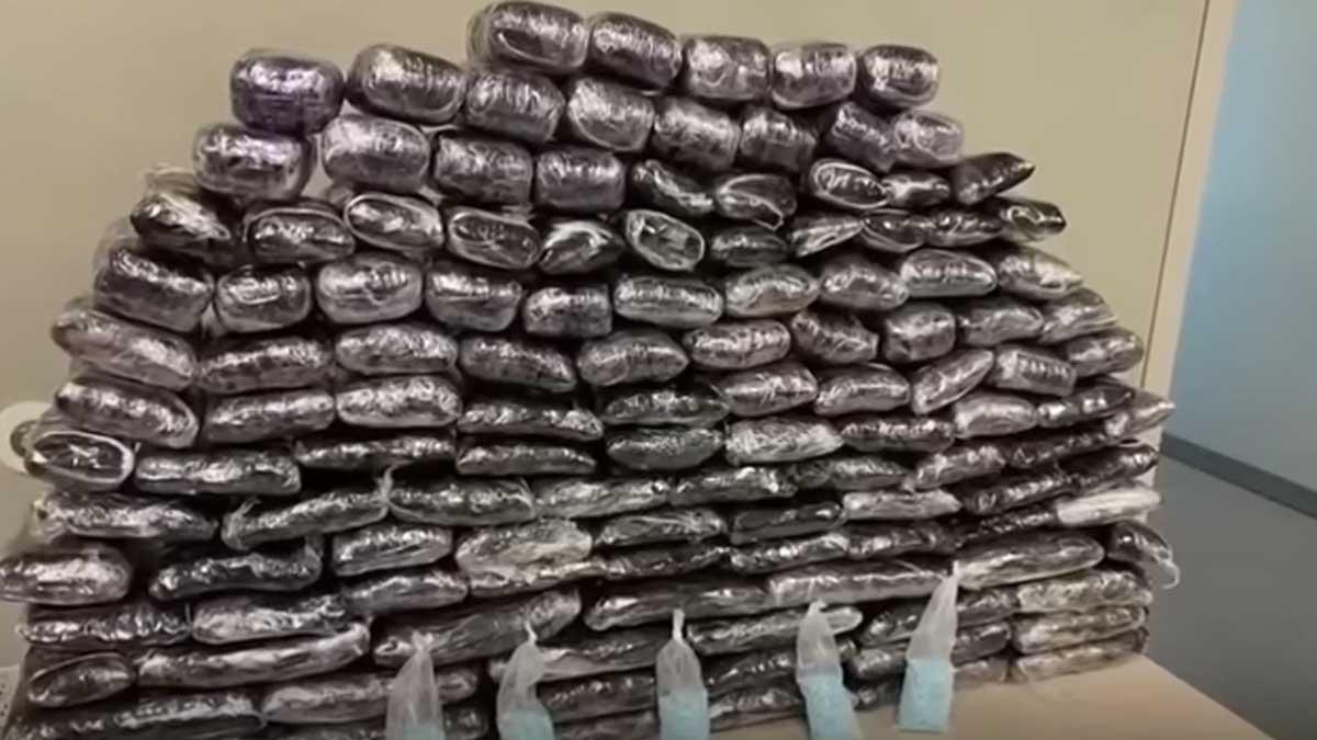 Decomisan casi un millón de píldoras de fentanilo en Los Ángeles