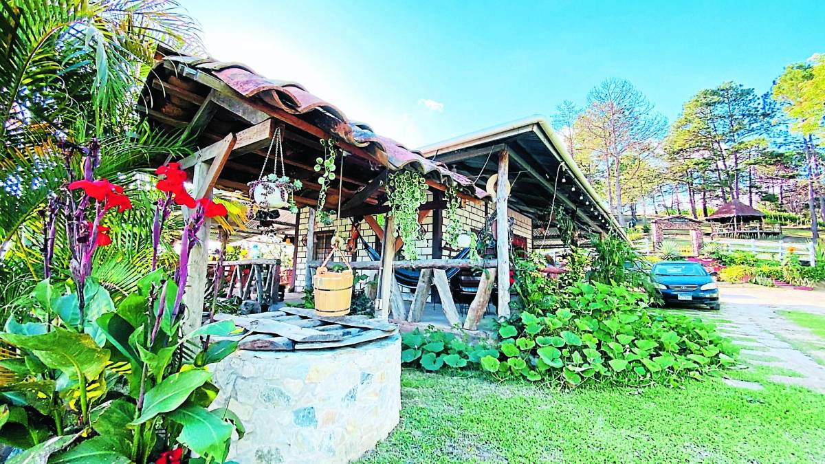 La cantidad de turistas ha aumentado en los últimos meses en Dulce Nombre, lo que ha provocado que surjan nuevos atractivos para los visitantes, como el Rancho San José donde se pueden vivir emocionantes momentos en medio de la naturaleza y animales; el municipio está lleno de bellos murales que llaman la atención de quien lo visita.