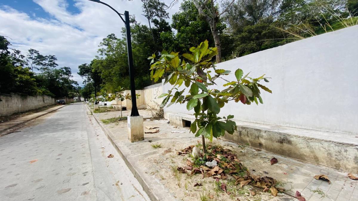 En la calle lateral del Fuerte San Cristóbal se construyó un paseo peatonal el cual está lleno de basura.