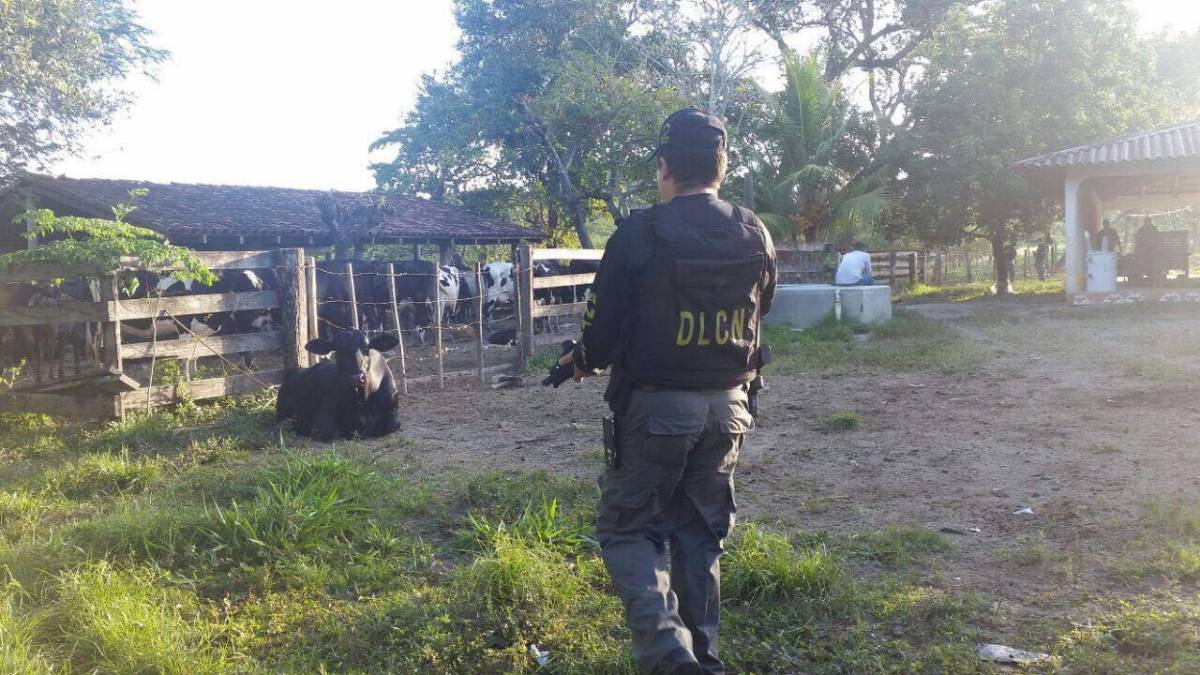 Al menos 46 bienes inmuebles les fueron incautados a José y Marlon Salgado. Fotografía: Ministerio Público.