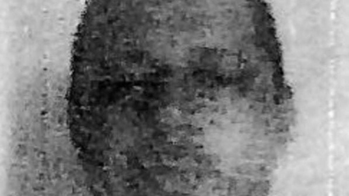 Con su generosidad cumpliría mi sueño: 24 cartas de favorecidos con Sedesol