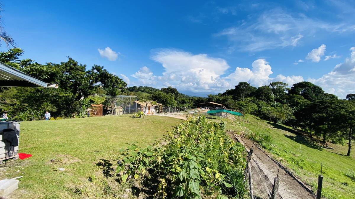 Descubra en Copán un oasis natural con gastronomía local