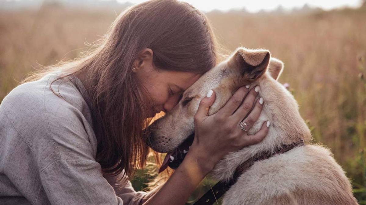 ¿Pueden los perros detectar enfermedades?, su comportamiento podría revelarlo