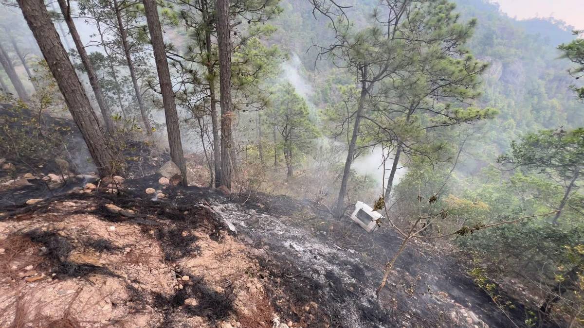 Nuevos detalles del hallazgo de  tres cuerpos calcinados en El Cimarrón