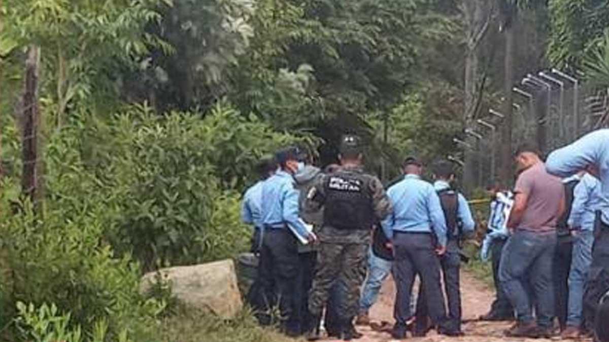 Hondureño muere tras ser atacado por furiosos perros en Valle de Ángeles