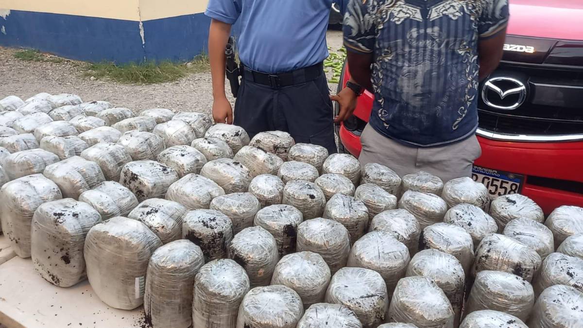 Intenta sobornar a policía con L500,000 y le decomisan cargamento de marihuana