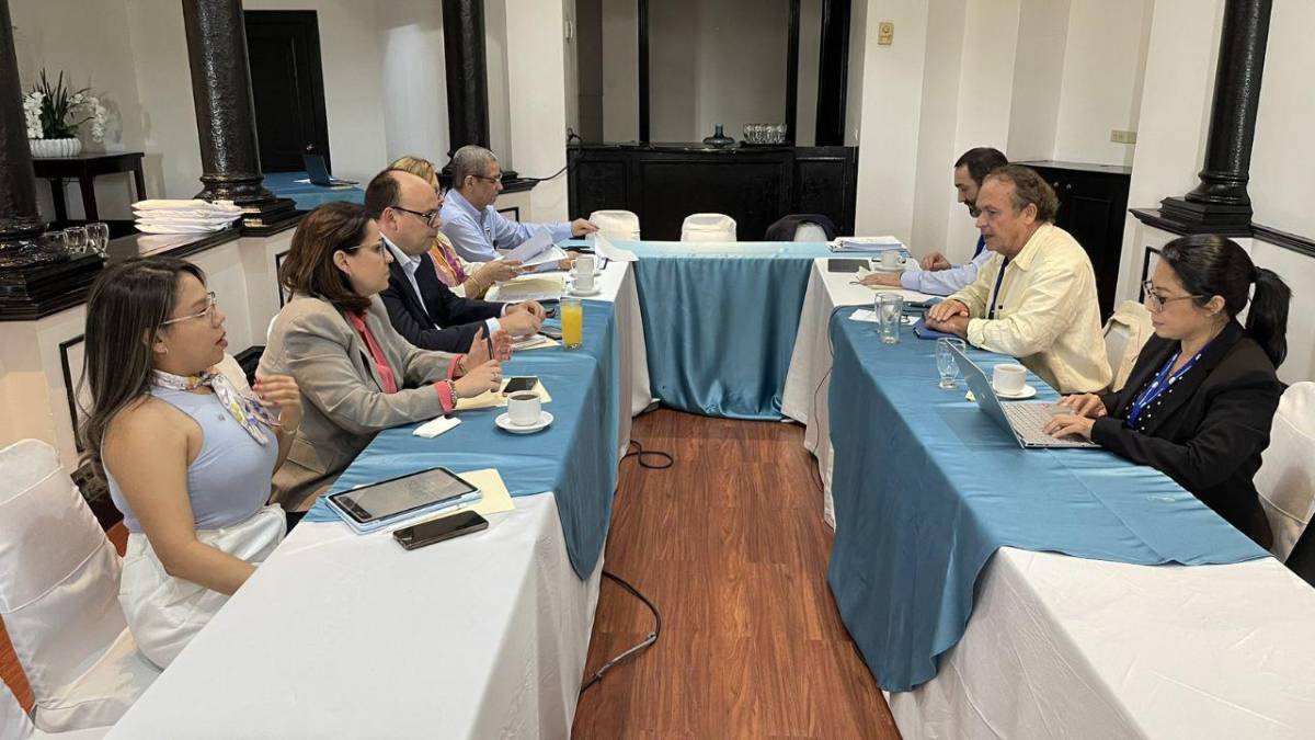 Misión de la ONU solicita informe al CN para instalar la Cicih