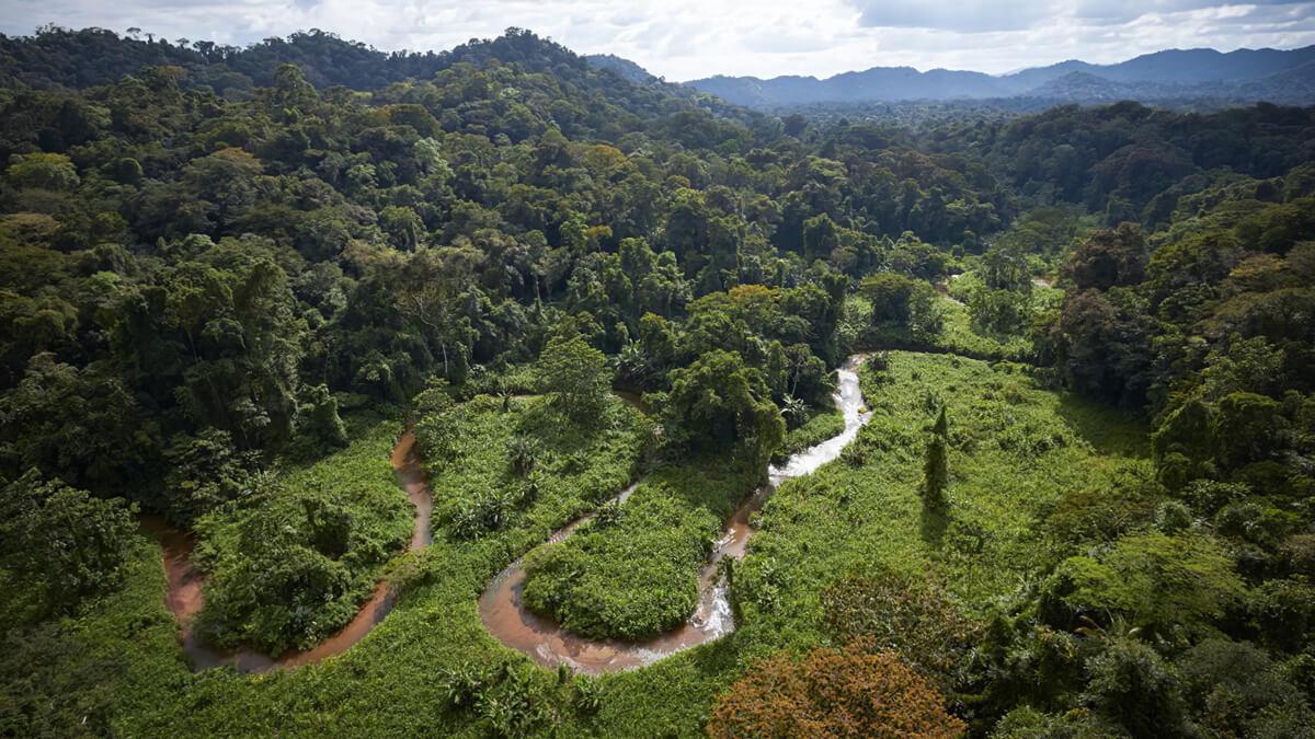 Destinarán $17,1 millones para proyecto “Bosques Vivos” de Honduras