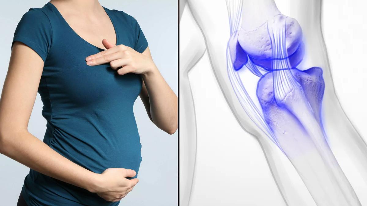 Hallan una hormona que podría ayudar a tratar problemas óseos graves