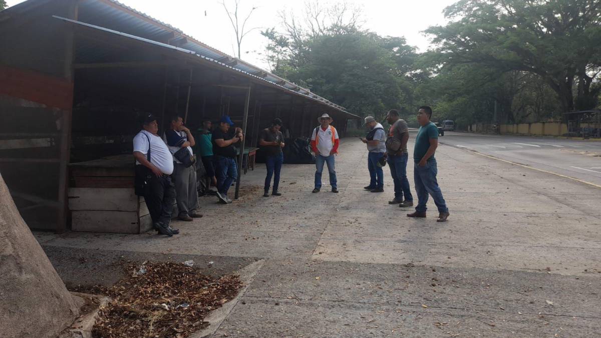 Se toman el parque arqueológico de Copán por constantes apagones