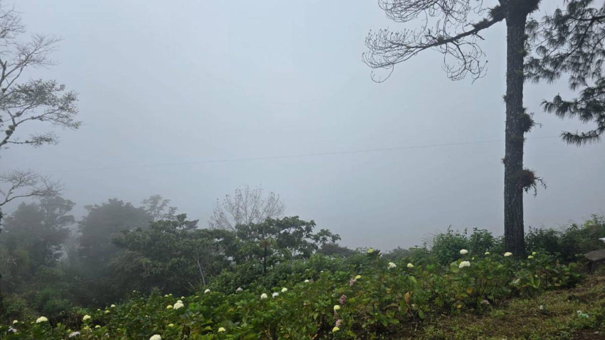 El termómetro está a 9 grados centígrados... y no es en La Esperanza, Intibucá