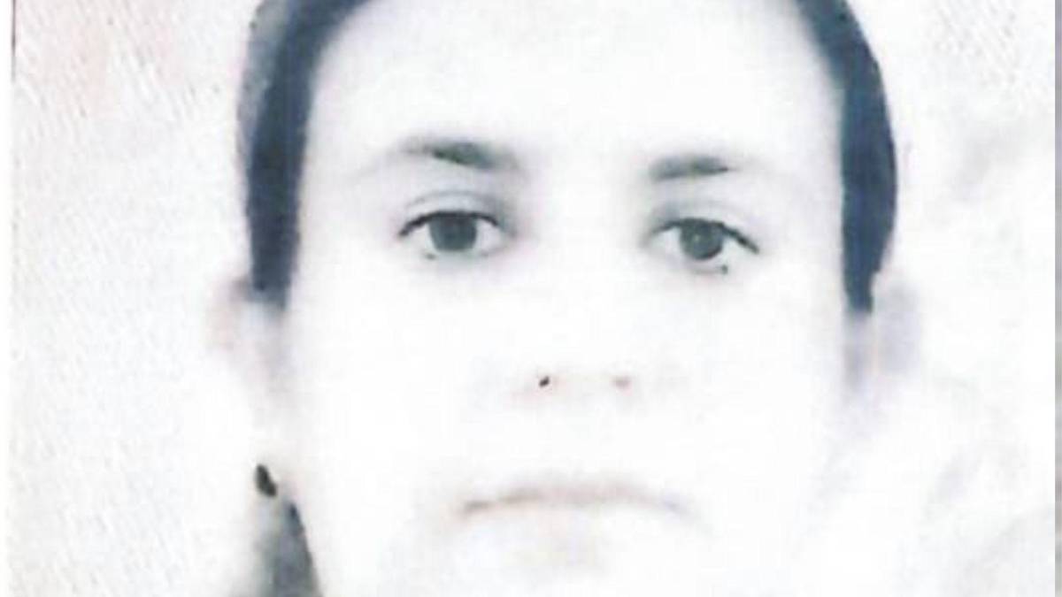 Con su generosidad cumpliría mi sueño: 24 cartas de favorecidos con Sedesol