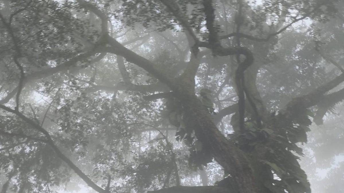 El termómetro está a 9 grados centígrados... y no es en La Esperanza, Intibucá