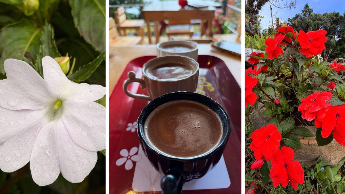 Subir al Cusuco: una aventura que todo sampedrano debe vivir