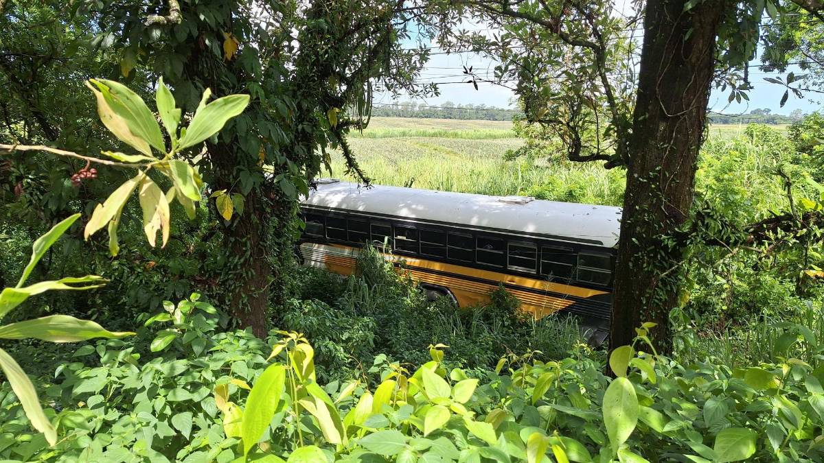 Así fue el choque entre entre bus y pickup que dejó a sampedranos heridos en El Porvenir