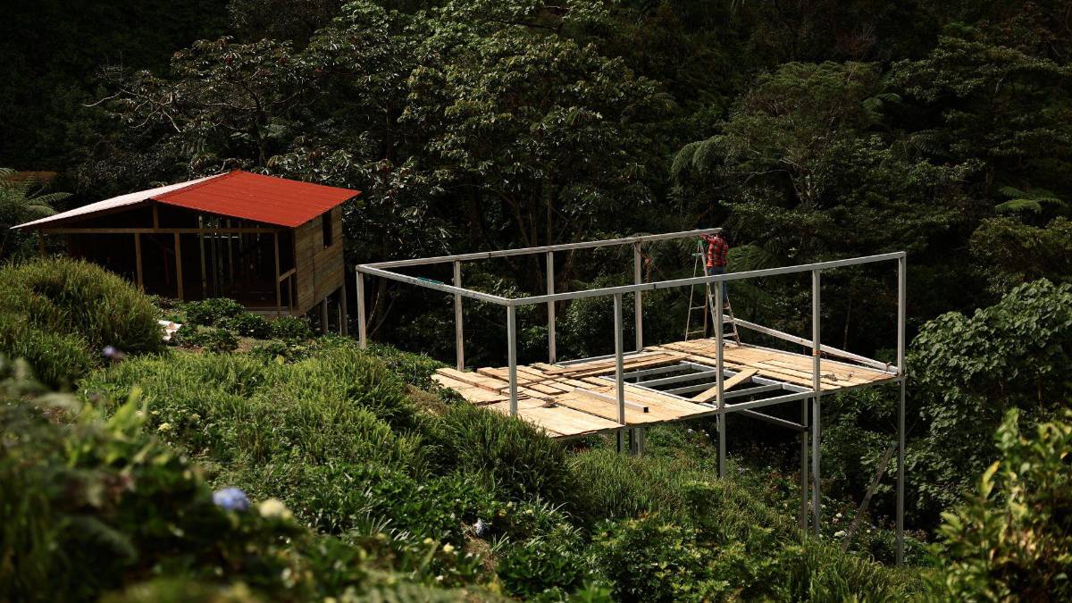 Subir al Cusuco: una aventura que todo sampedrano debe vivir