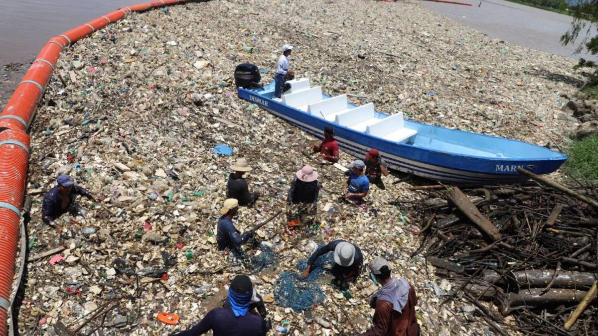 Va a venir primero nuestro señor Jesucristo antes que deje de llegar basura de Guatemala