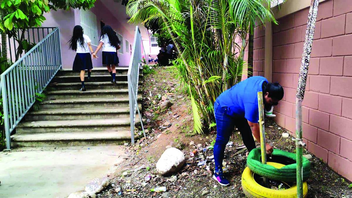 Disminuyen casos de dengue en Atlántida en relación con 2022