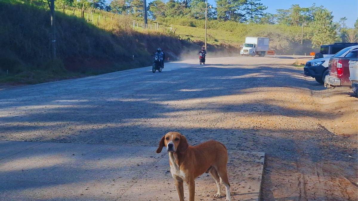 ¿Quiere viajar a La Esperanza?, así está ya su nueva carretera