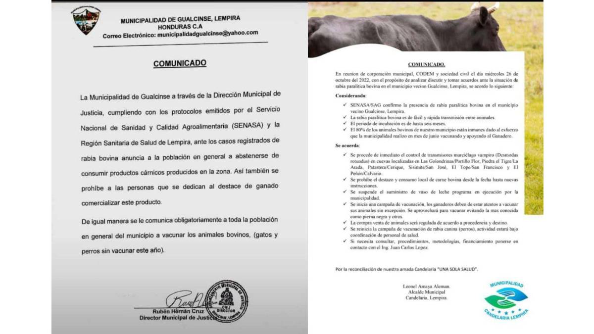 Por brote de rabia, en Lempira prohíben consumo de carne y destazos hasta segunda orden