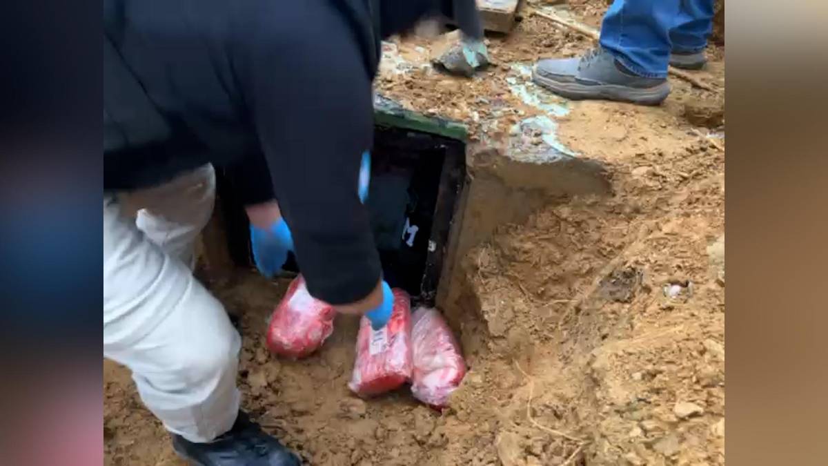 Desmantelan búnker subterráneo de la MS-13 en Omoa, Cortés