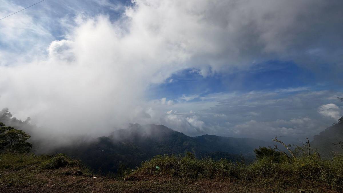 Subir al Cusuco: una aventura que todo sampedrano debe vivir