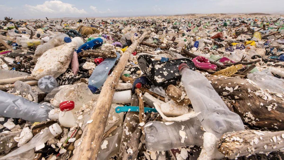 Va a venir primero nuestro señor Jesucristo antes que deje de llegar basura de Guatemala