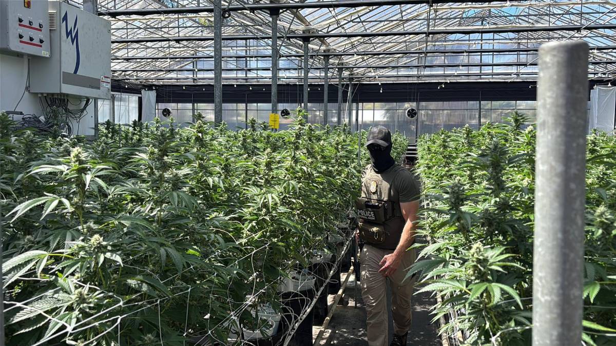 Gases, piedras y helicópteros: aumenta la tensión en redadas en California