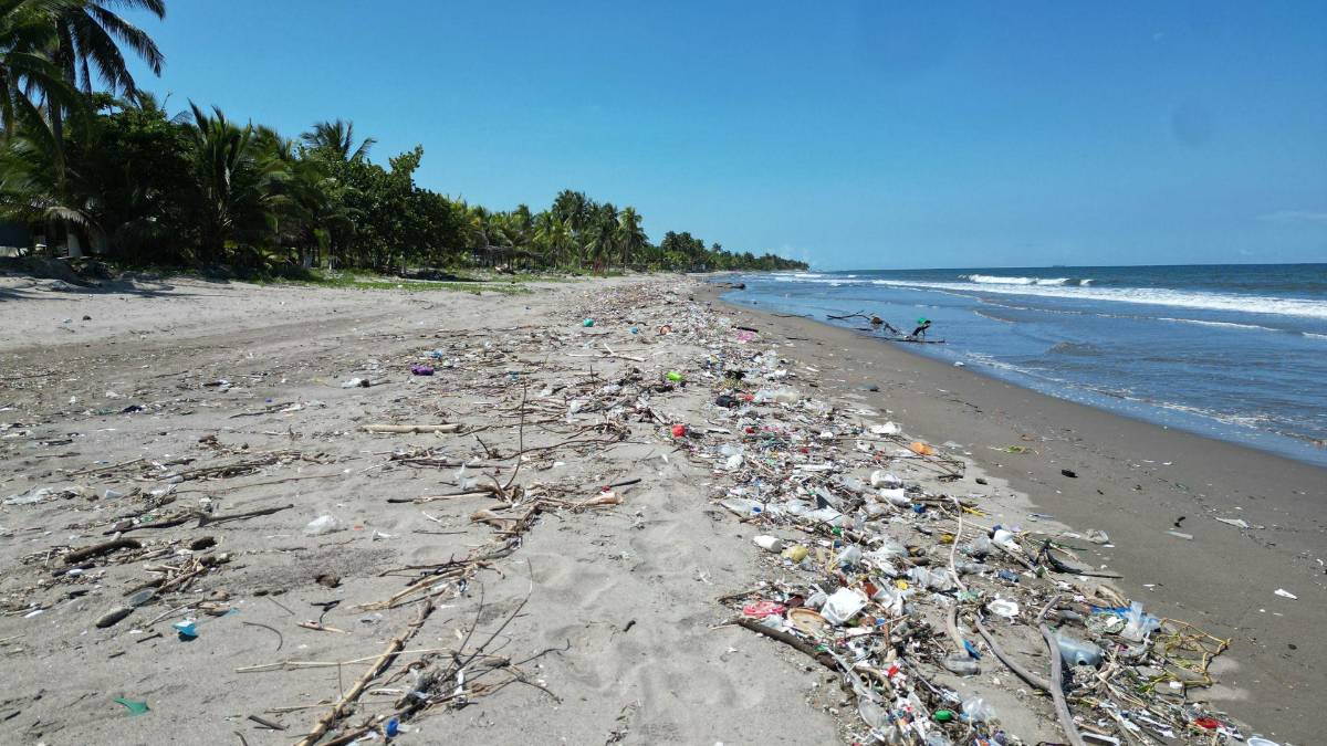 La ruta del Chamelecón: imágenes de dron de su encuentro con el Caribe