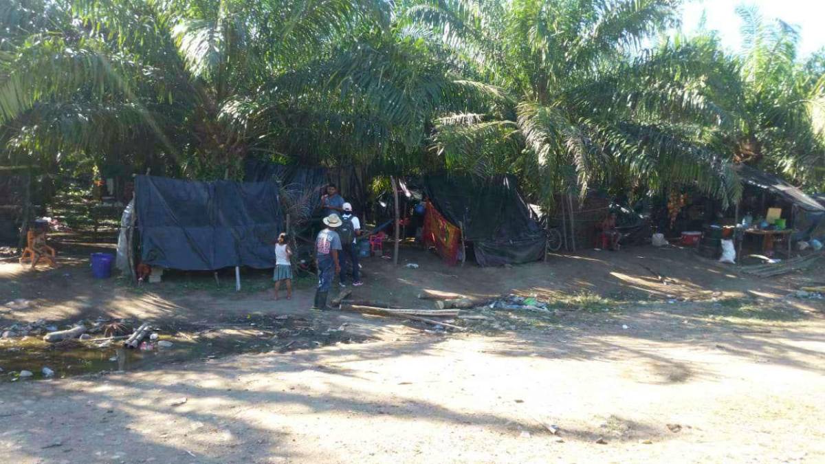 Dueños de fincas invadidas piden reunión con Xiomara Castro