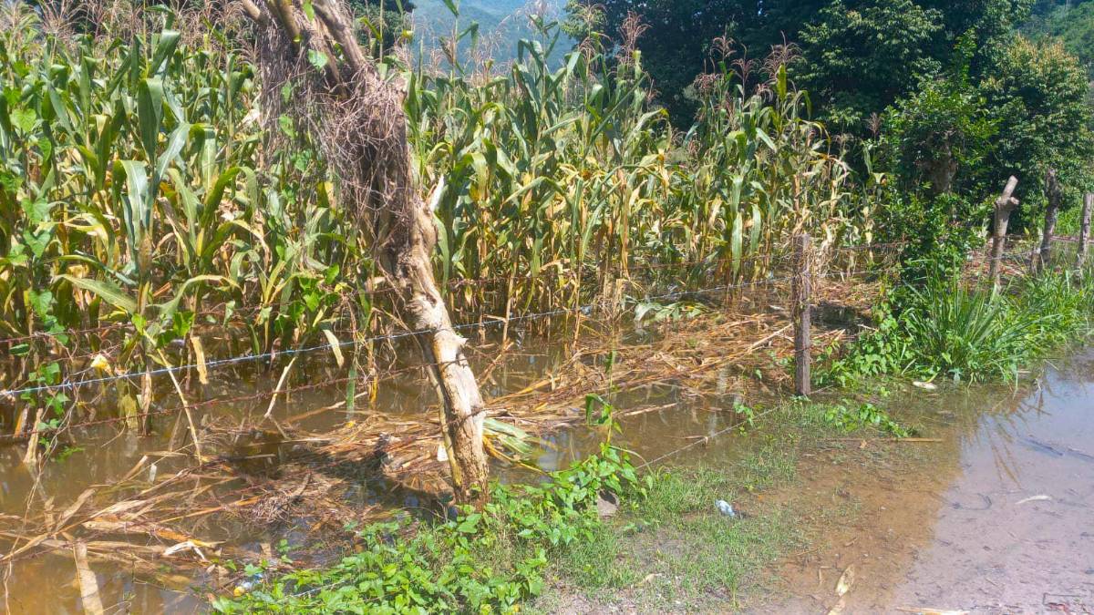 Santa Bárbara: aldeas pueden quedar aisladas