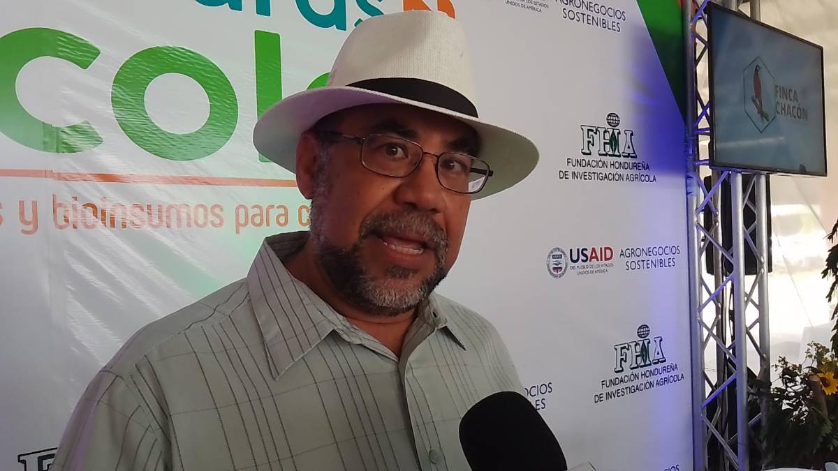 De acuerdo al director general de la FHIA Luis Vásquez, si se logra sustituir en un 30% los fertilizantes por bioinsumos, Honduras podría obtener un ahorro de unos 48 millones de dólares al año.