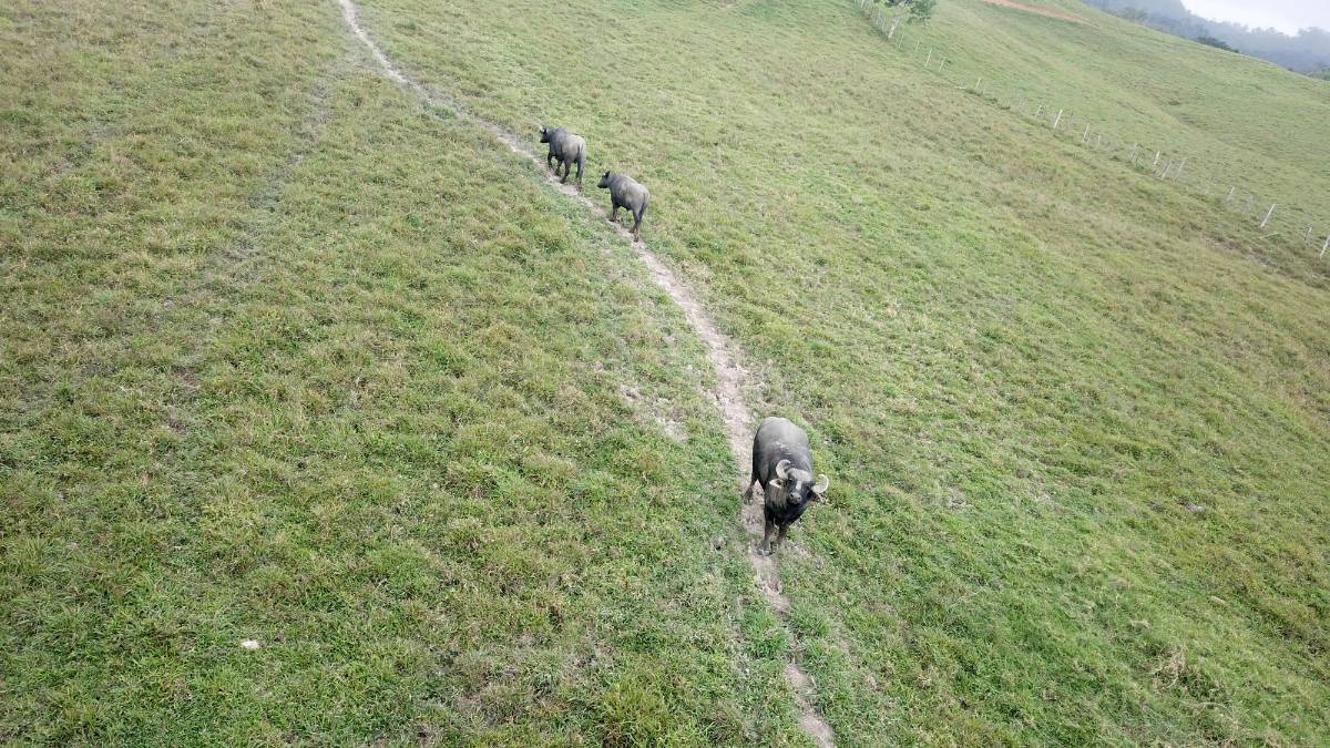 A pedazos se caen las casas y establos de Alexander Ardón