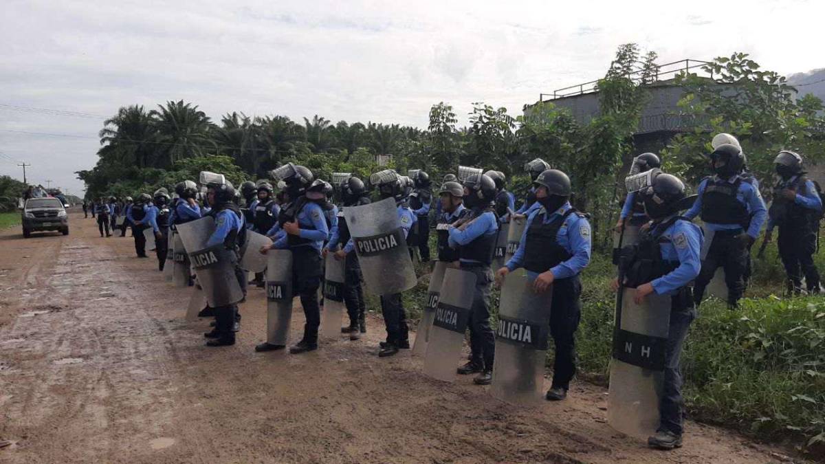 Desalojan a invasores de finca de palma San Isidro en Tocoa