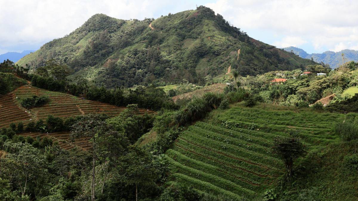 Subir al Cusuco: una aventura que todo sampedrano debe vivir