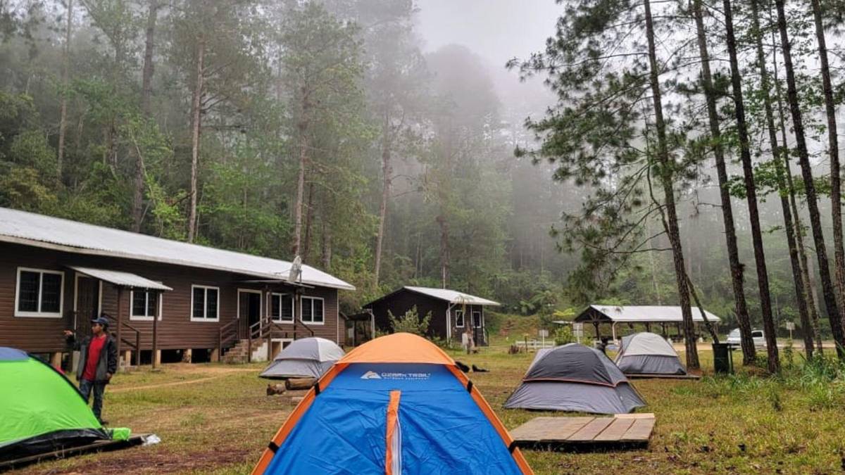 Subir al Cusuco: una aventura que todo sampedrano debe vivir
