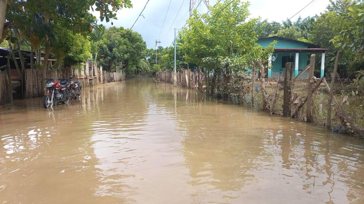Un 80% de los habitantes de este sector son afectados cuando el rio Ulúa crece. 