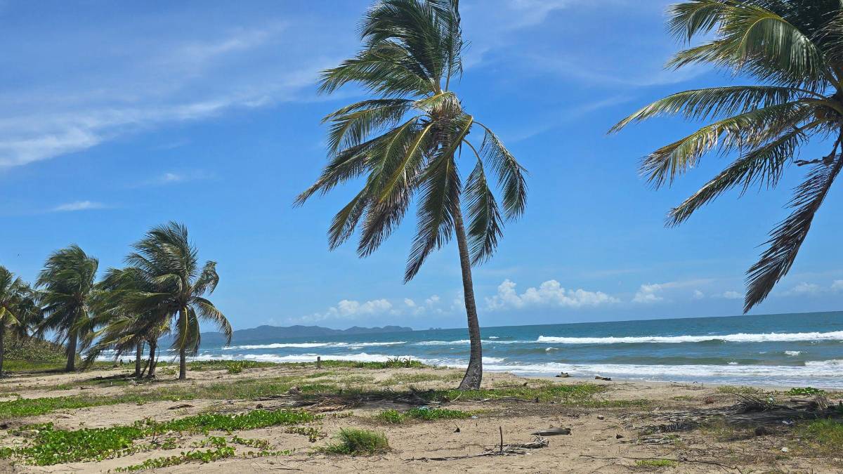 Pesca entre olas en la Miami de Tela: el asombroso ritual entre el mar y la laguna