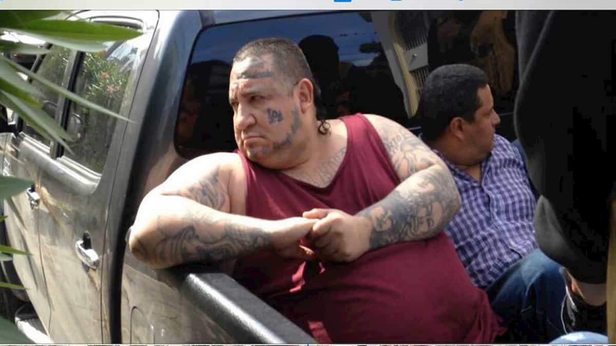 Boxer Huber: el día que lloró, su poderío y violento final