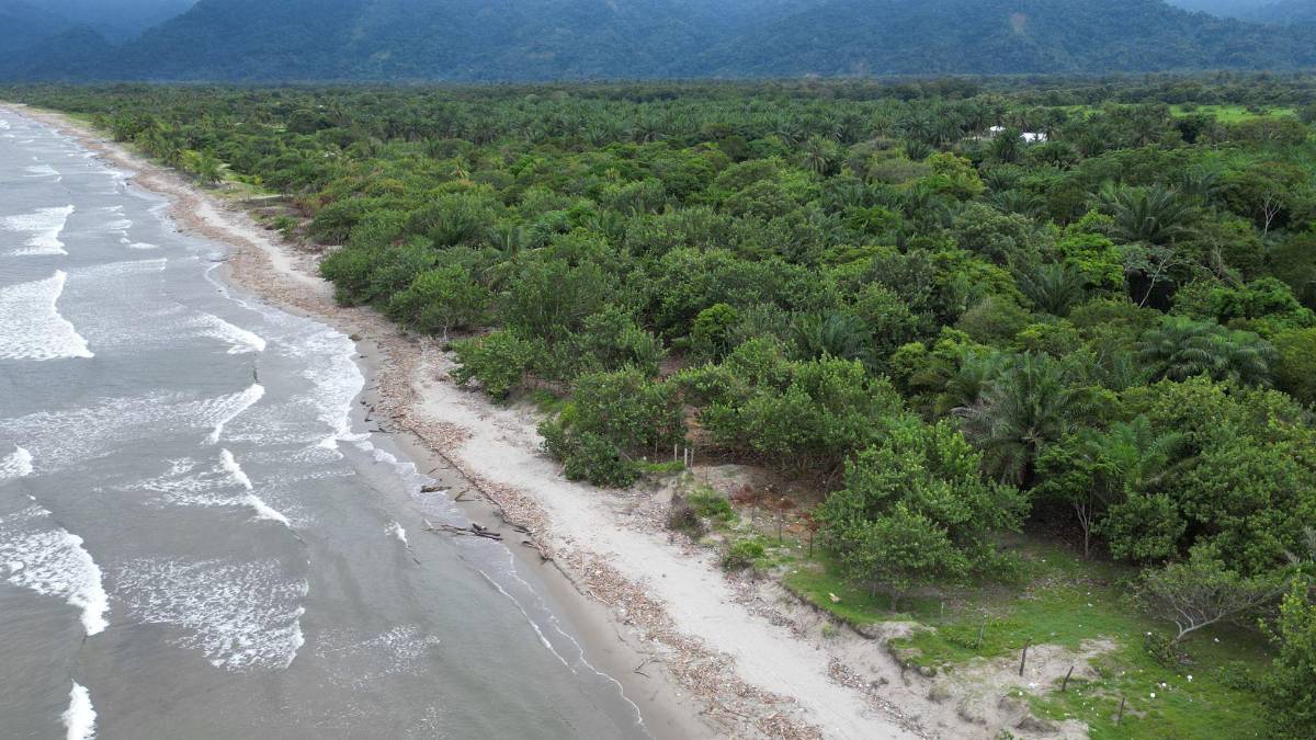 Va a venir primero nuestro señor Jesucristo antes que deje de llegar basura de Guatemala