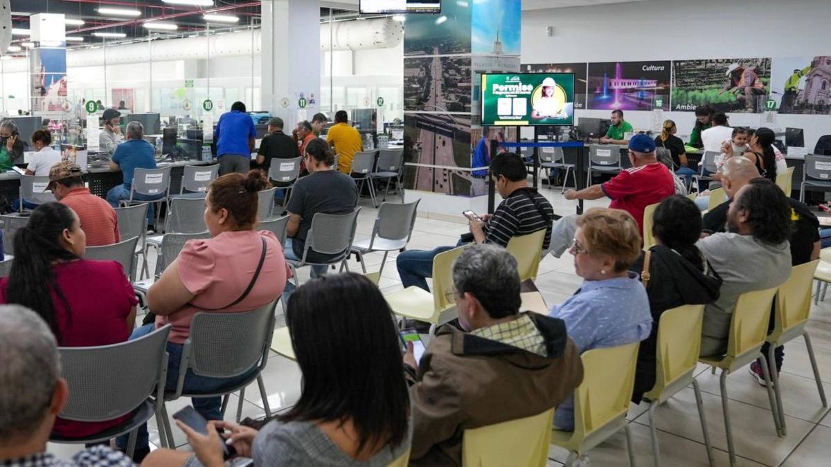 Guía práctica: así puede sacarle provecho a las amnistías vigentes este 2026