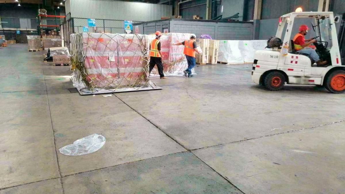 CNE comenzará a distribuir el equipo para el Trep