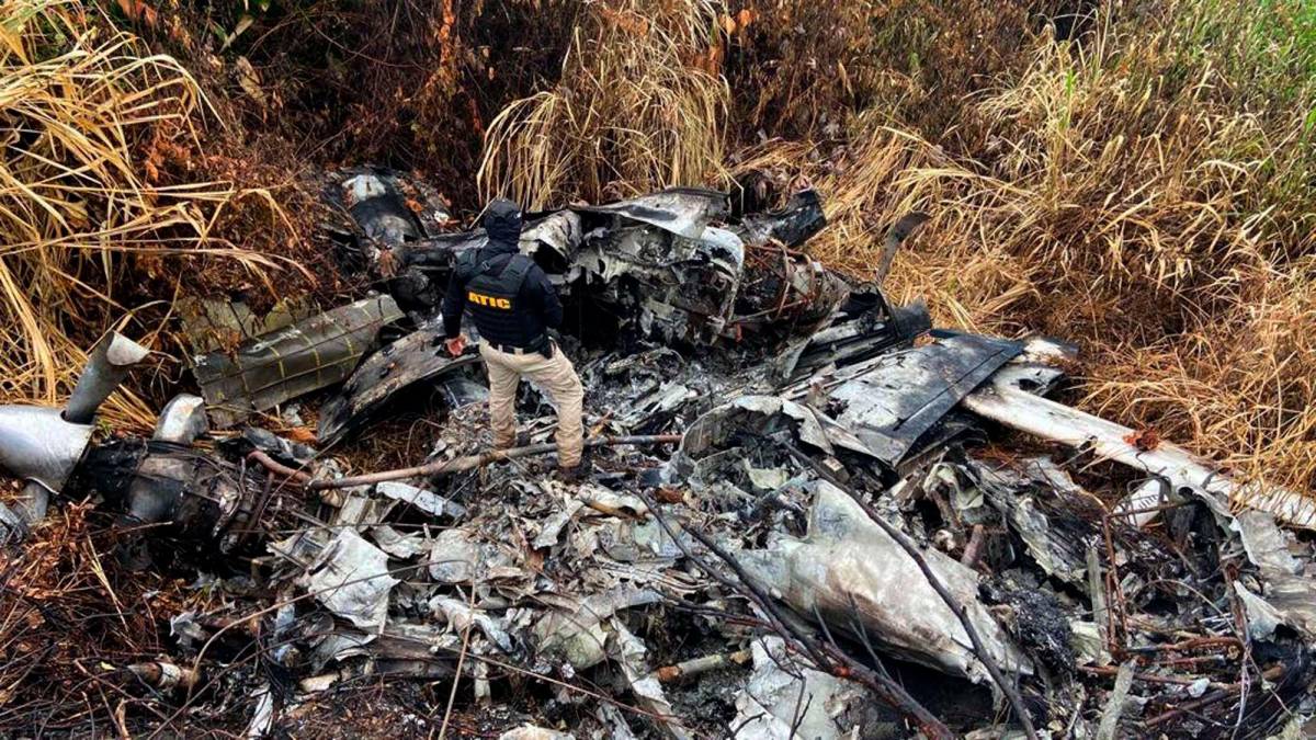 Con 600 kilos de coca venía avioneta que fue quemada