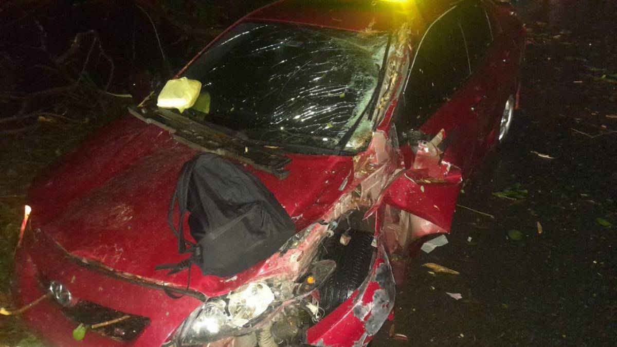 Árbol caído destroza carro de una joven en Atlántida