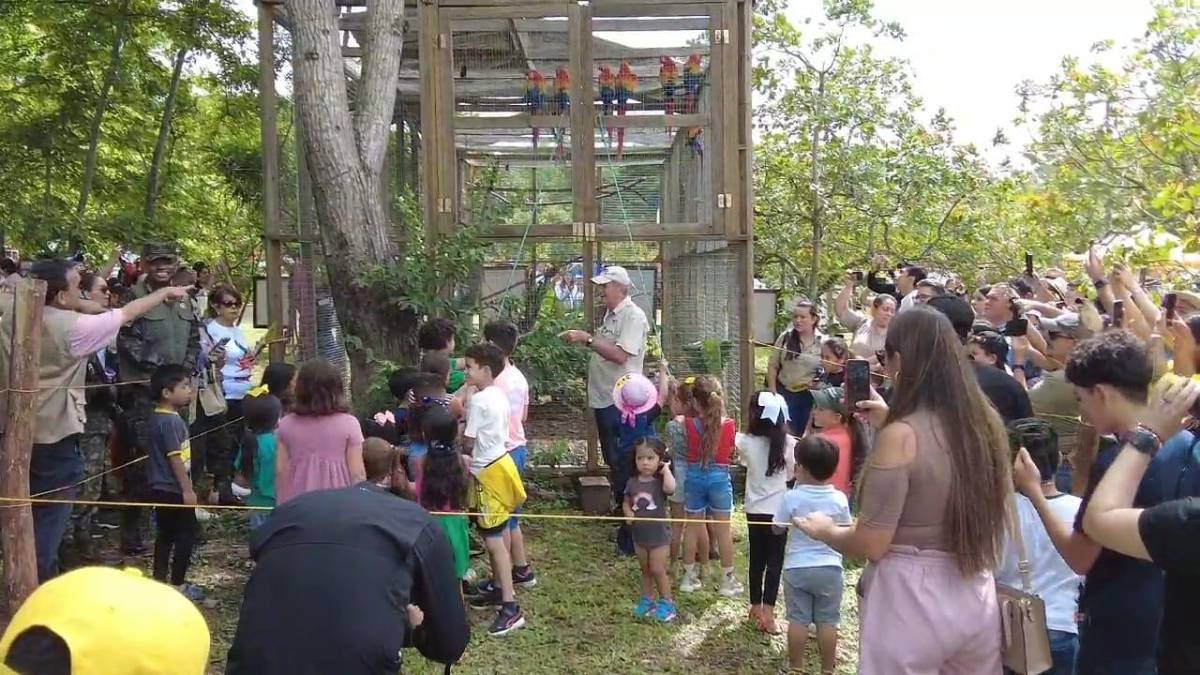 Se suman a las más de 100 que se alzan en libertad.